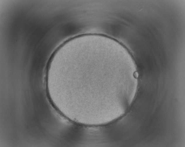 X0000081321126200702082129