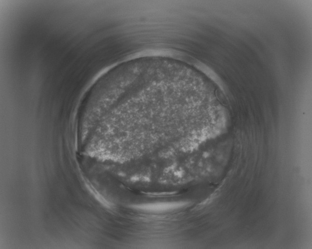 X0000081321127200702082129