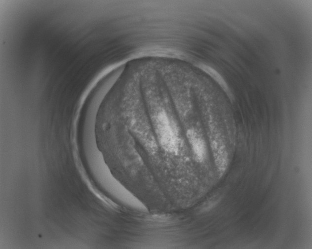 X0000081321128200702082129