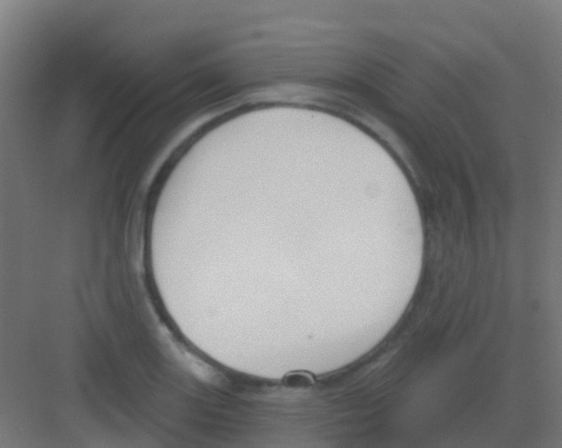 X0000081321131200702082129