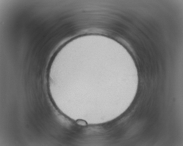 X0000081321133200702082129