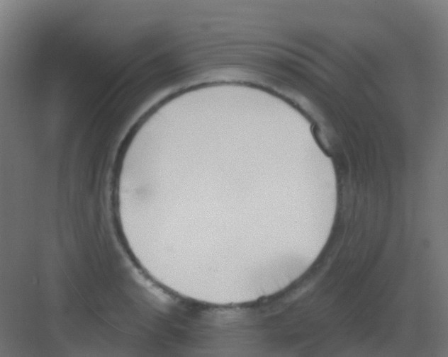 X0000081321134200702082129