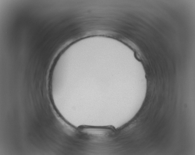 X0000081321135200702082129