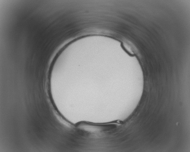 X0000081321136200702082129