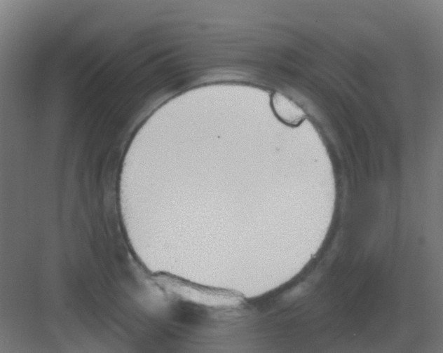 X0000081321137200702082129