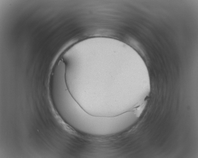 X0000081321138200702082129