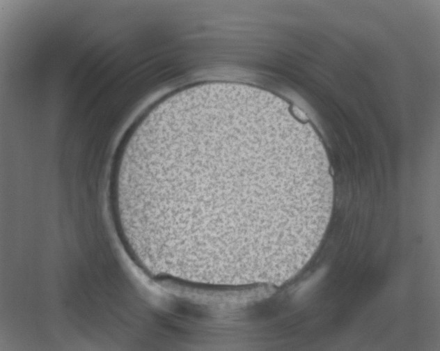 X0000081321139200702082129