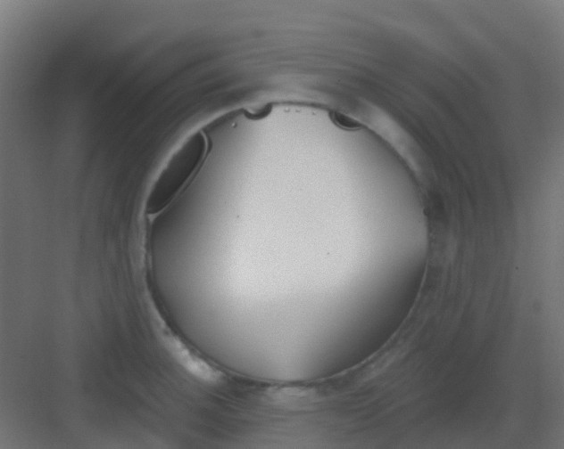 X0000081321140200702082129