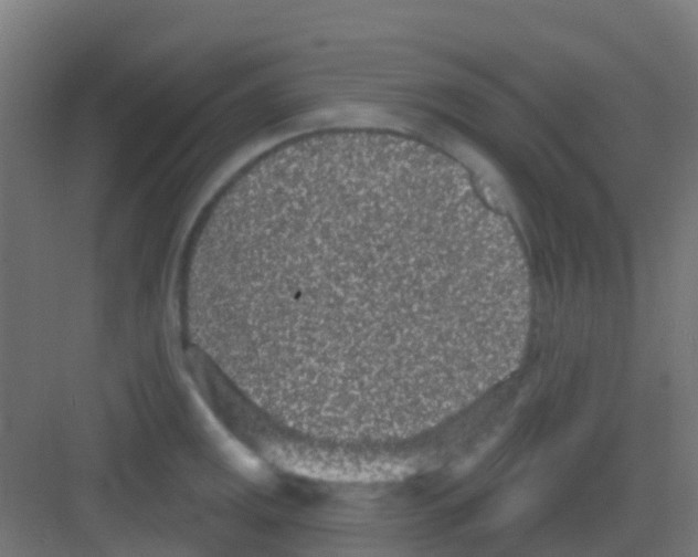 X0000081321141200702082129