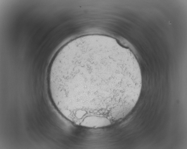 X0000081321142200702082129