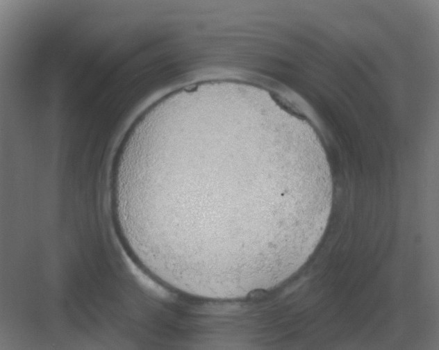 X0000081321143200702082129