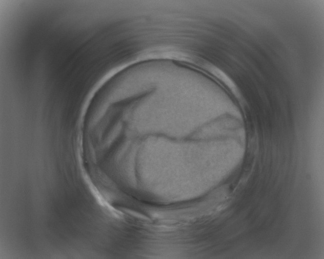 X0000081321144200702082129