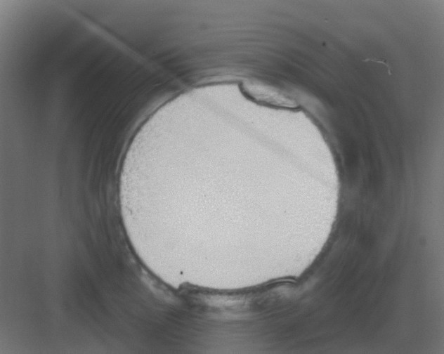 X0000081321145200702082129