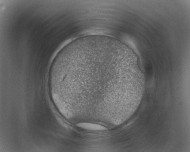 X0000081321146200702082129