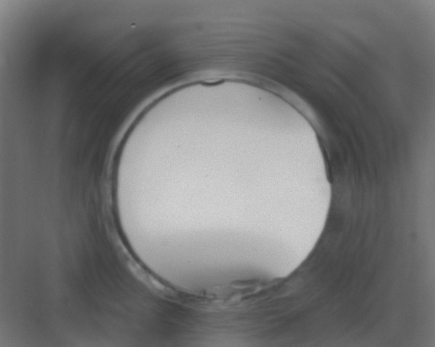 X0000081321148200702082129