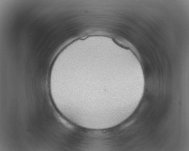 X0000081321149200702082129