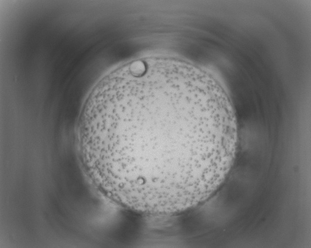 X0000081321150200702082129