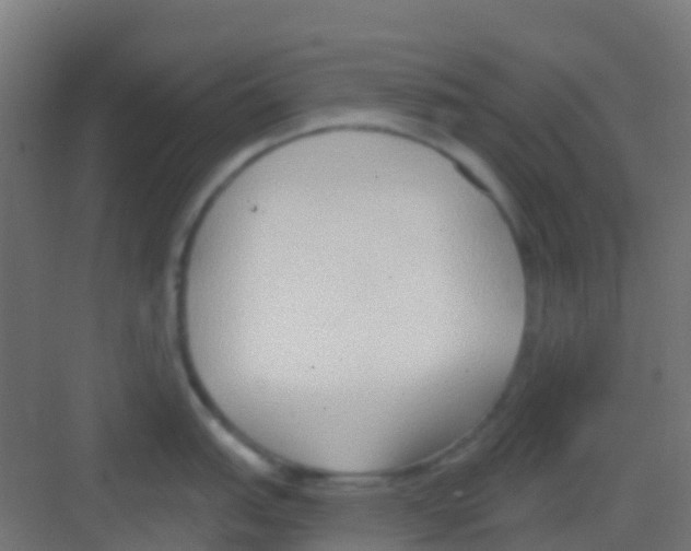 X0000081321151200702082129