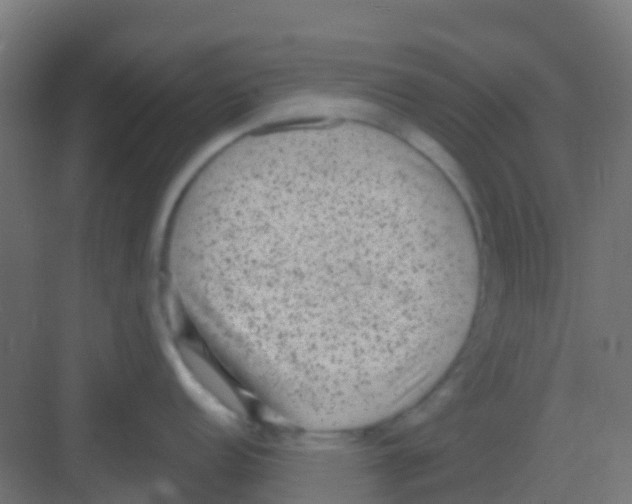 X0000081321152200702082129