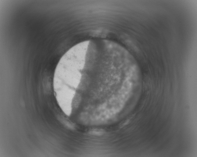 X0000081321154200702082129