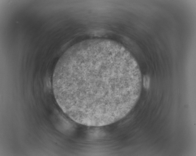 X0000081321155200702082129