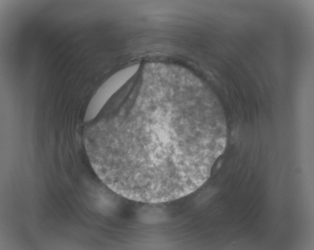 X0000081321156200702082129