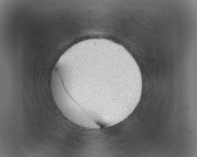 X0000081321157200702082129