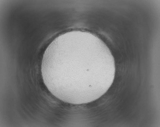 X0000081321159200702082129