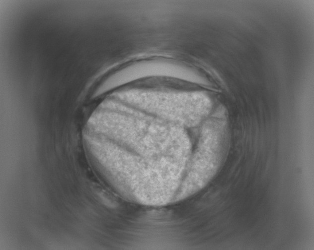 X0000081321160200702082129