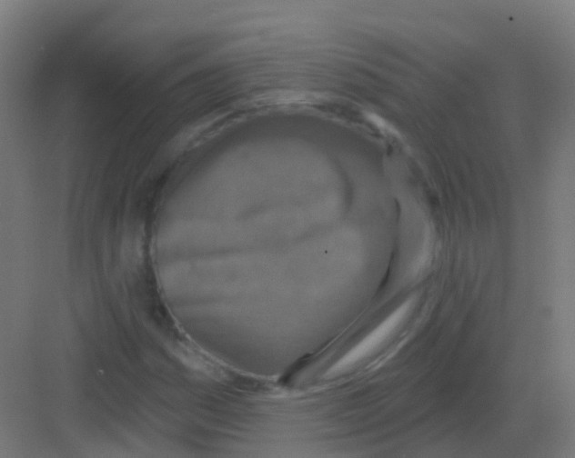 X0000081321161200702082128