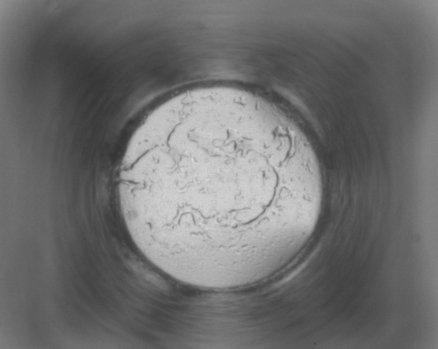 X0000081321163200702082128