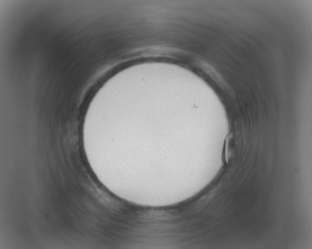 X0000081321164200702082128