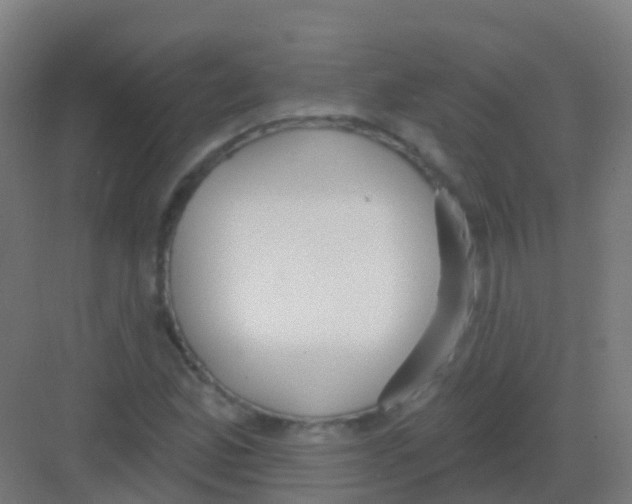 X0000081321165200702082128