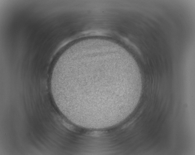 X0000081321166200702082128