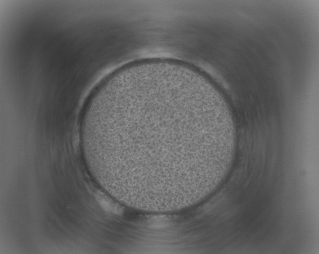 X0000081321167200702082128