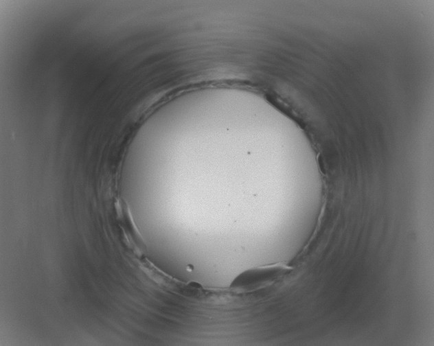 X0000081321169200702082128