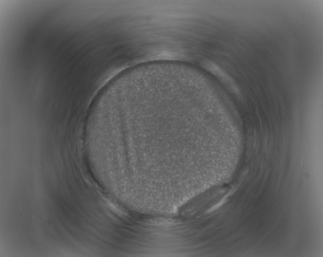 X0000081321170200702082128