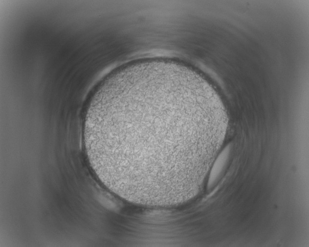 X0000081321171200702082128