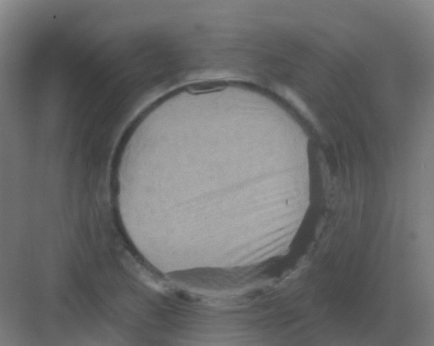 X0000081321173200702082128