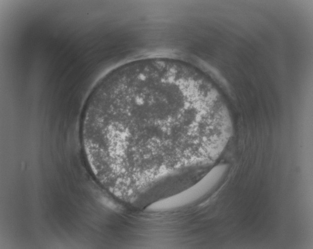 X0000081321174200702082128