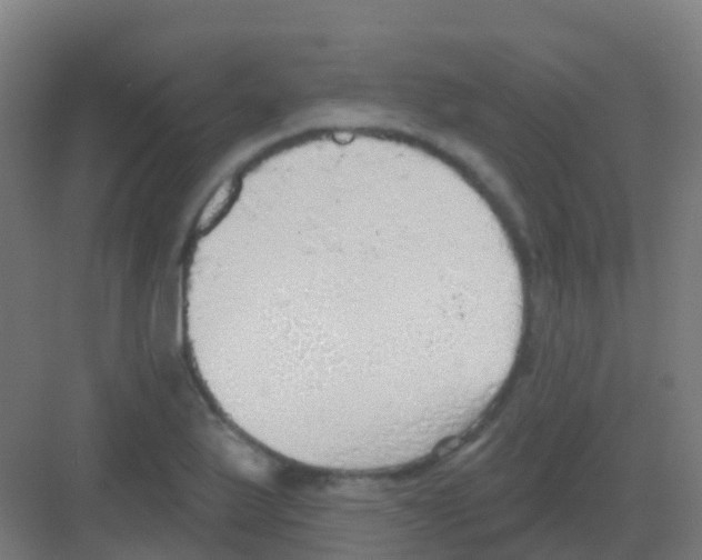 X0000081321175200702082128