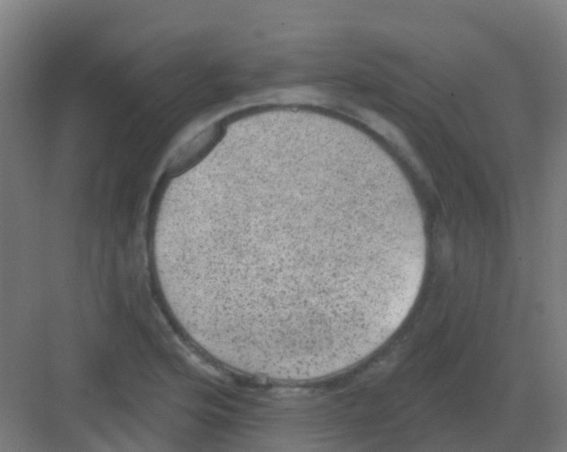 X0000081321176200702082128