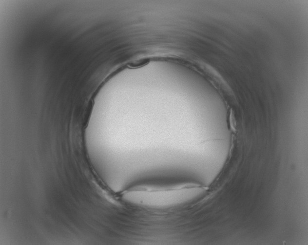 X0000081321177200702082128