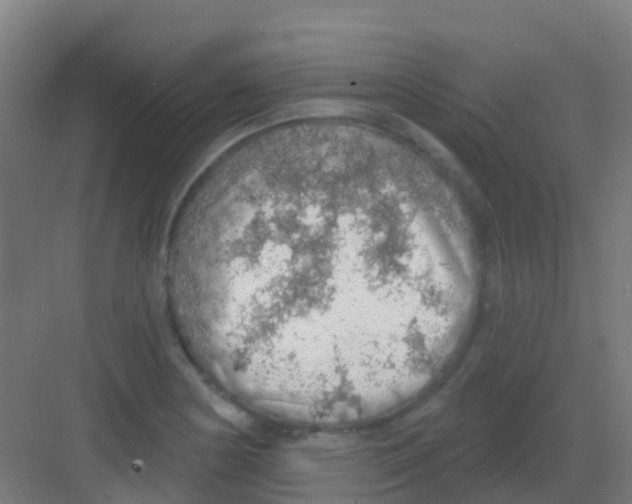 X0000081321178200702082128