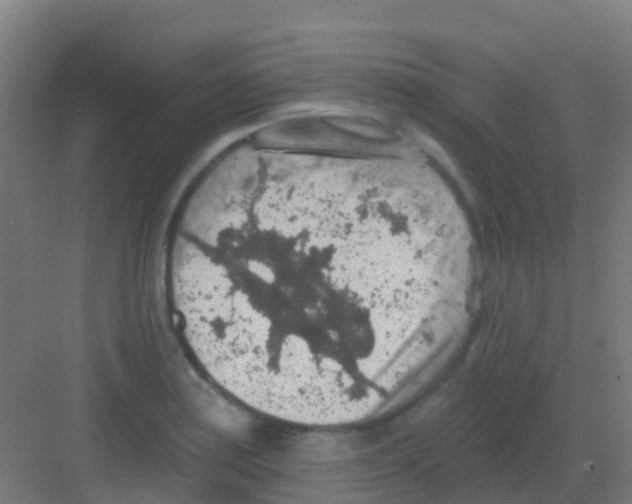 X0000081321179200702082128