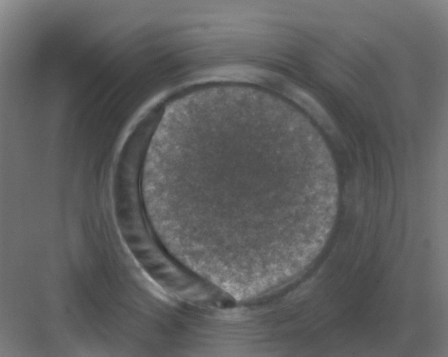 X0000081321180200702082128