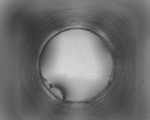 X0000081321181200702082128