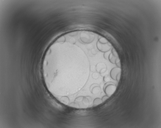 X0000081321182200702082128