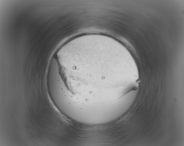 X0000081321183200702082128