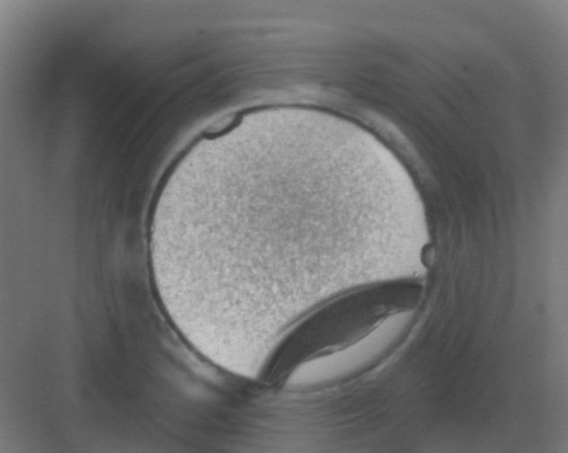 X0000081321184200702082128